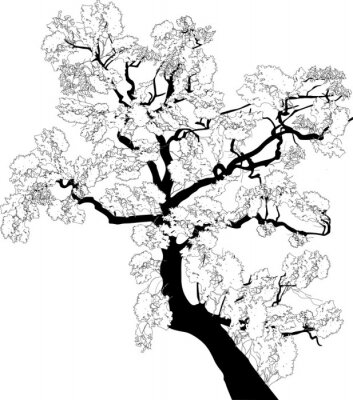 Poster Schwarz-weiße Grafik mit Ast eines Baumes