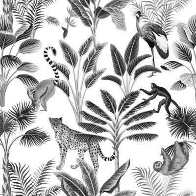 Schwarz-weiße Tiere auf tropischen Bäumen