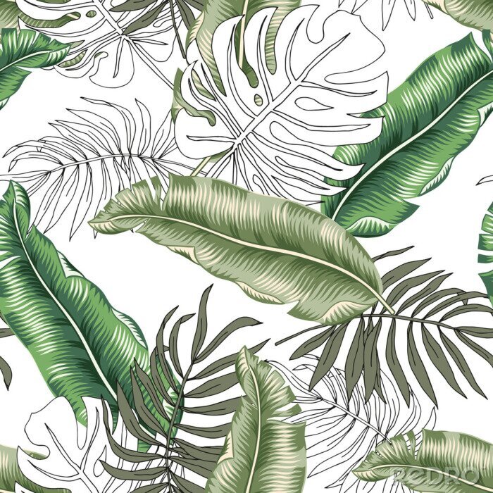 Poster Schwarz-weiße und grüne tropische Blätter
