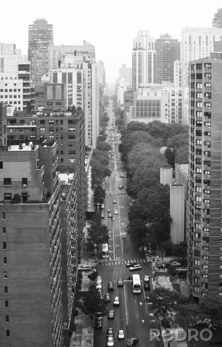 Poster Schwarz-weiße Wege in New York City