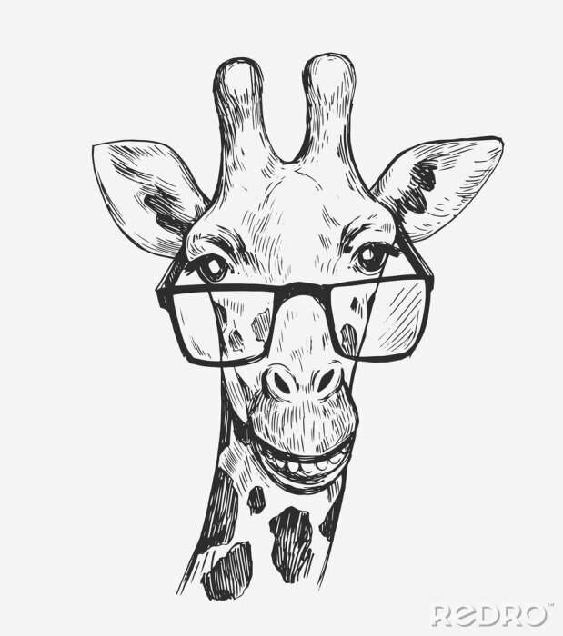 Poster Schwarz-weißer Giraffenkopf mit Brille