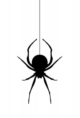 Poster Schwarz-weißer Umriss der Spinne
