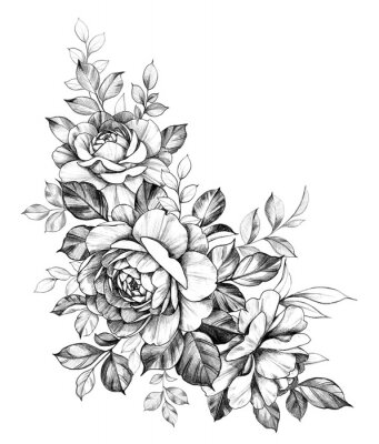 Poster Schwarz-weißer Zweig mit Rosenblüten