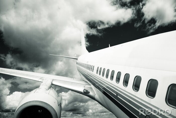 Poster Schwarz-weißes Flugzeug im Flug
