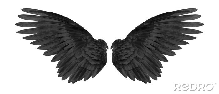 Schwarze Flügel auf weißem Hintergrund