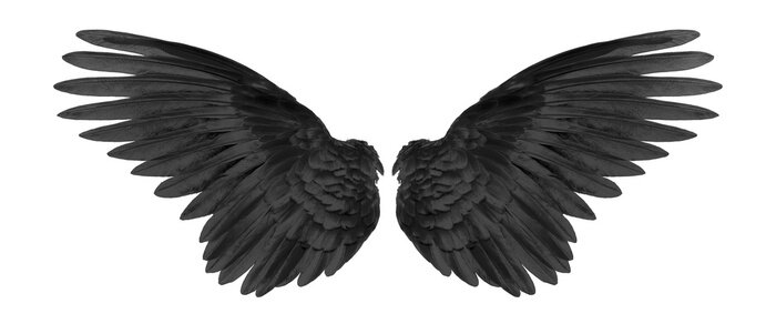 Poster Schwarze Flügel auf weißem Hintergrund
