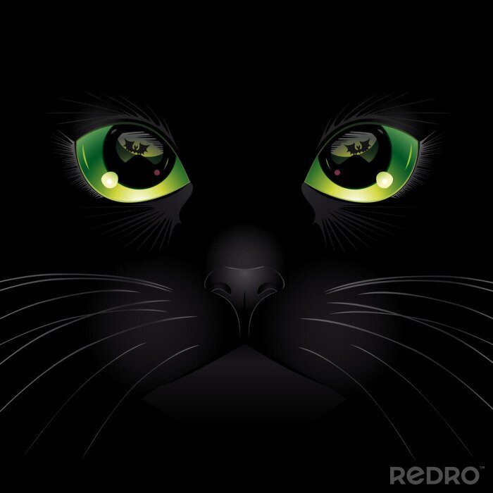 Poster Schwarze Katze mit grünen Augen