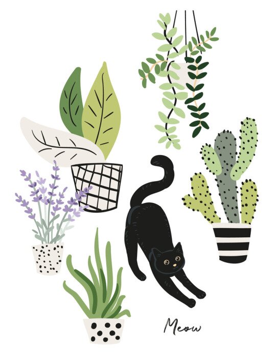 Poster Schwarze Katze umgeben von Topfblumen