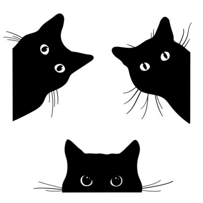 Poster Schwarze Konturen von drei Katzenköpfen