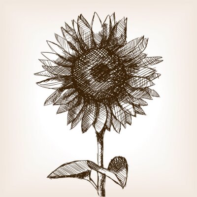 Poster Schwarze Linien bilden eine Sonnenblume