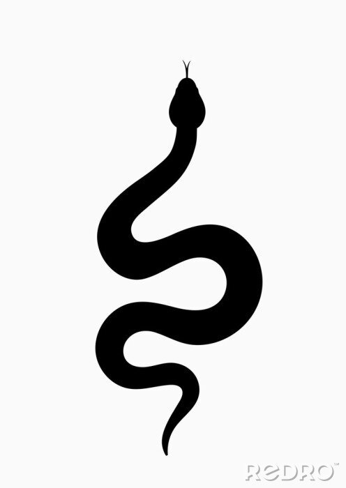 Poster Schwarze Schlange auf weißem Hintergrund