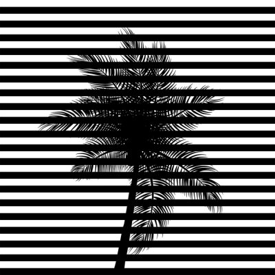 Schwarze Streifen und eine Palme