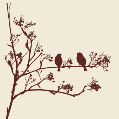 Schwarze Vogelsilhouetten auf dem Baum
