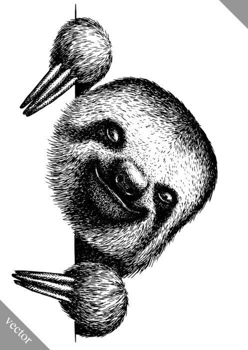 Poster Schwarze-weißes Faultier