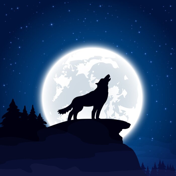 Poster schwarze Wolfsfigur mit Mond im Hintergrund