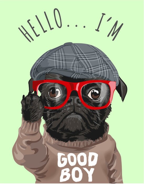 Poster Schwarzer Hund mit roter Brille und Helm