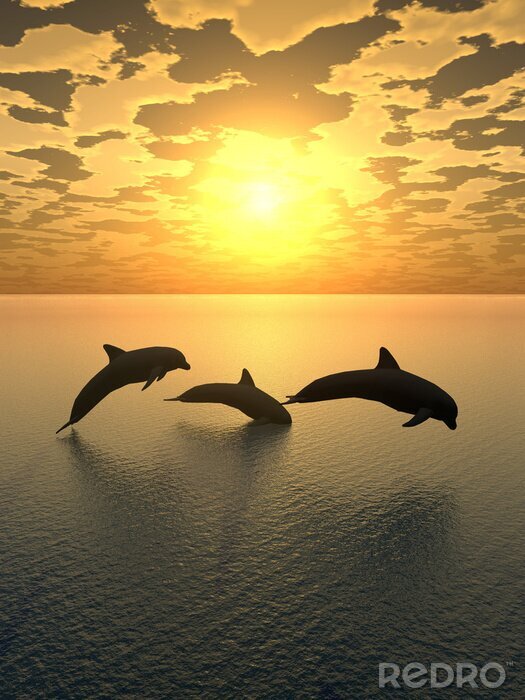 Poster Schwimmende Tiere vor dem Hintergrund der Sonne