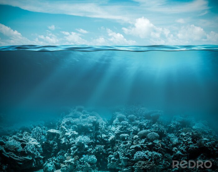 Poster Sea or ocean underwater deep nature background