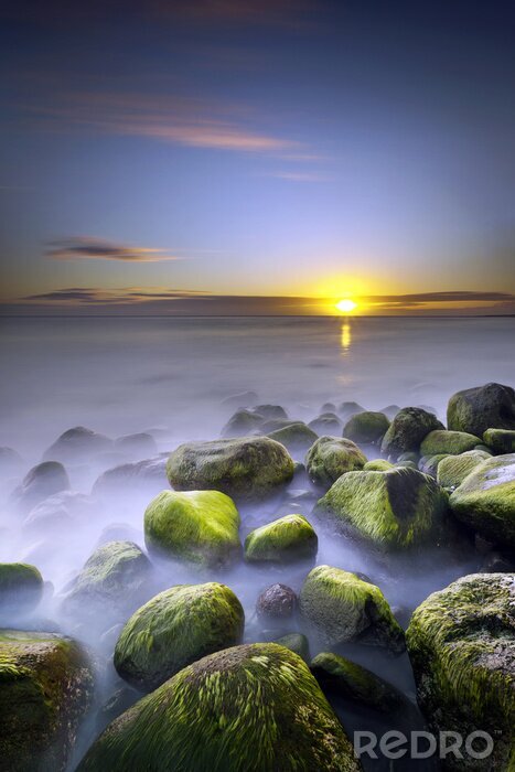 Poster Seenatur mit Nebel