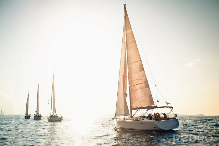 Poster Segelboot auf See bei sonnigem Wetter