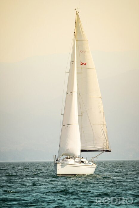 Poster Segelboot auf Wasser hohes Segel