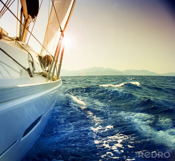 Poster Segelboot auf Wasser sonniger Tag