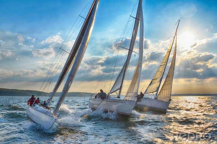 Poster Segelboote auf offenem Wasser