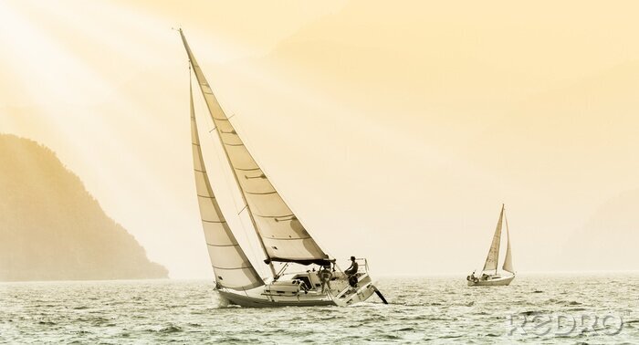 Poster Segelboote bei Küste