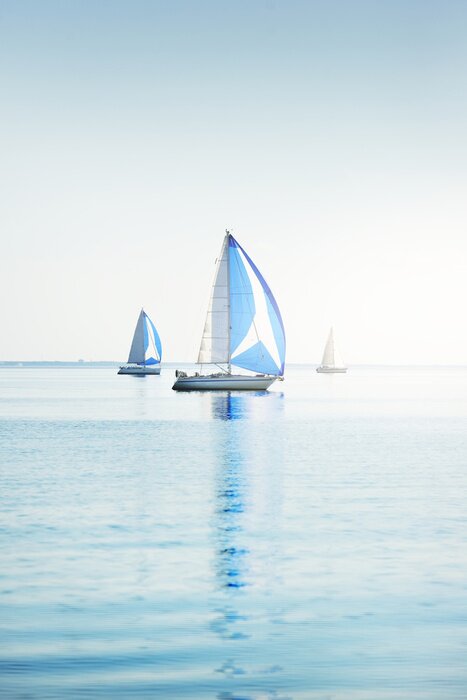 Poster Segelboote und Regatta