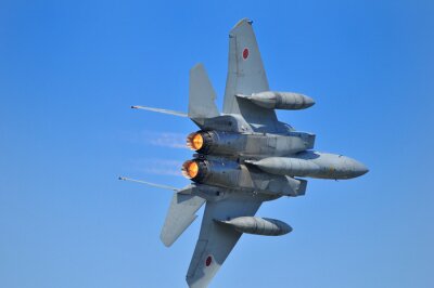 Poster Segelflugzeug F15