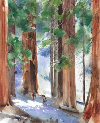 Poster Sequoia-Wald Illustration in Aquarell-Ästhetik