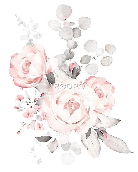 Poster Set watercolor pink  flowers, garden roses, peonies. collection leaves, branches. Botanic illustration isolated on white background.