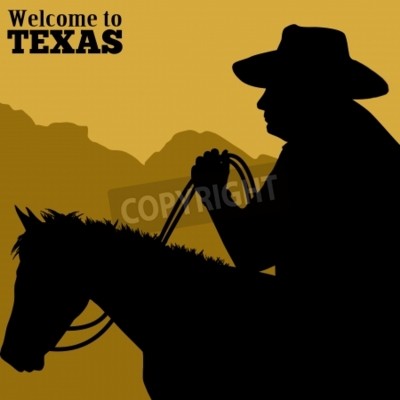 Poster Silhouette eines Pferdes und eines Cowboys