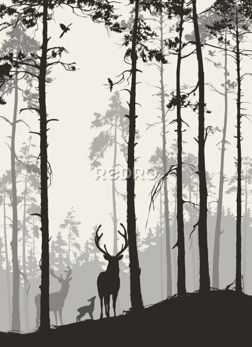 Poster Silhouetten von Hirschen im Wald