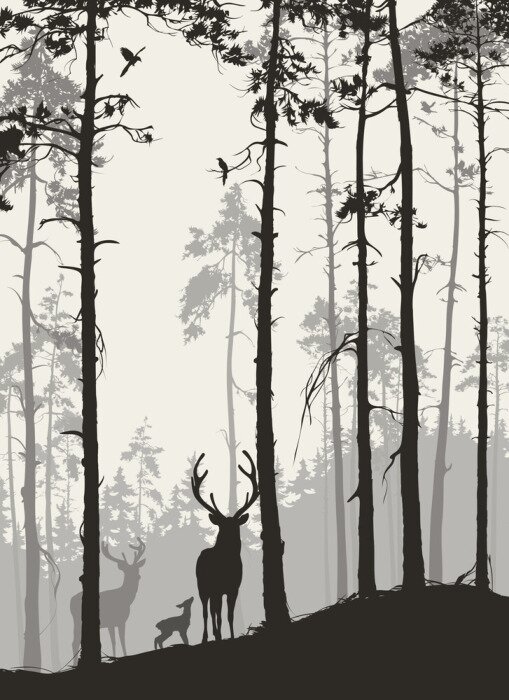 Poster Silhouetten von Hirschen im Wald