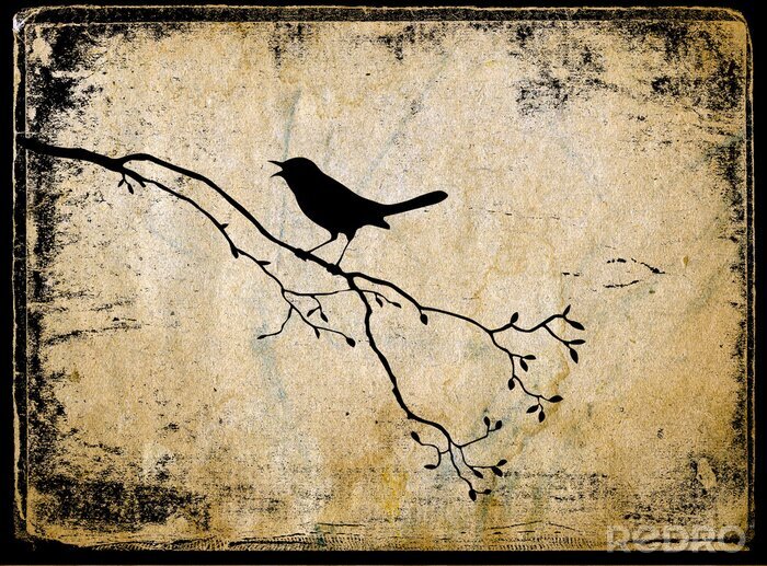 Poster Singender Vogel auf einem Ast