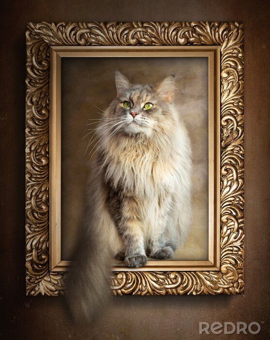Poster Skandinavische Katze in einem Rahmen