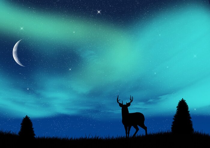 Poster Skandinavische Nacht und das Polarlicht