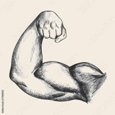 Poster Sketch illustration of muscular human male right arm