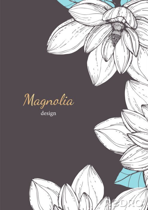Poster Skizzierte Magnolie mit blauen Blättern
