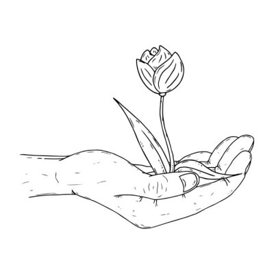 Poster Skizzierte Tulpe auf der Hand eines Mannes
