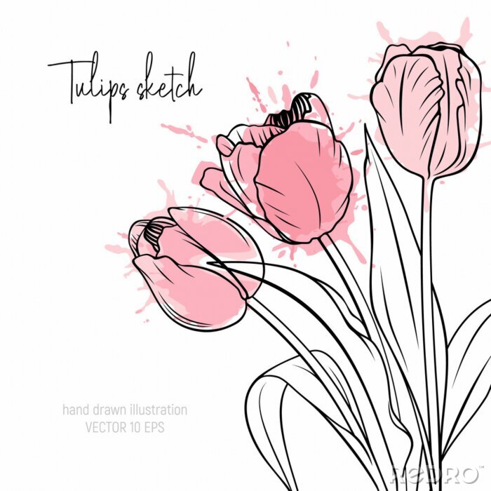 Poster Skizzierte Tulpen gefüllt mit einem Farbfleck