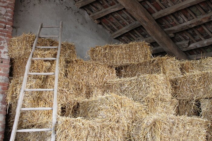Poster Sommer nach der Heuernte