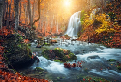 Poster Sonne beleuchtet den Waldwasserfall