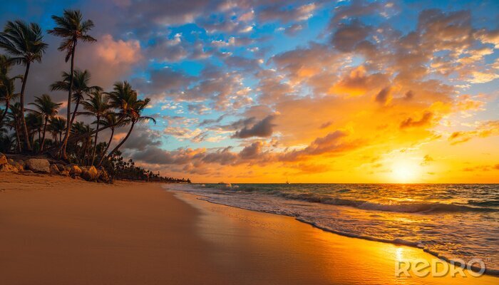 Poster Sonnenaufgang über tropischem Strand