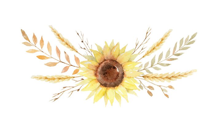 Poster Sonnenblume auf einer Boho-Illustration