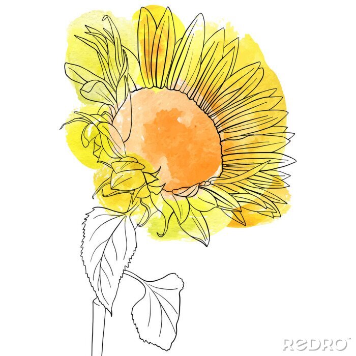 Poster Sonnenblume gelb lackiert