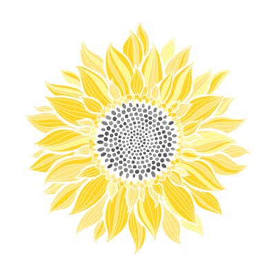 Poster Sonnenblume mit Blättern wie Strahlen