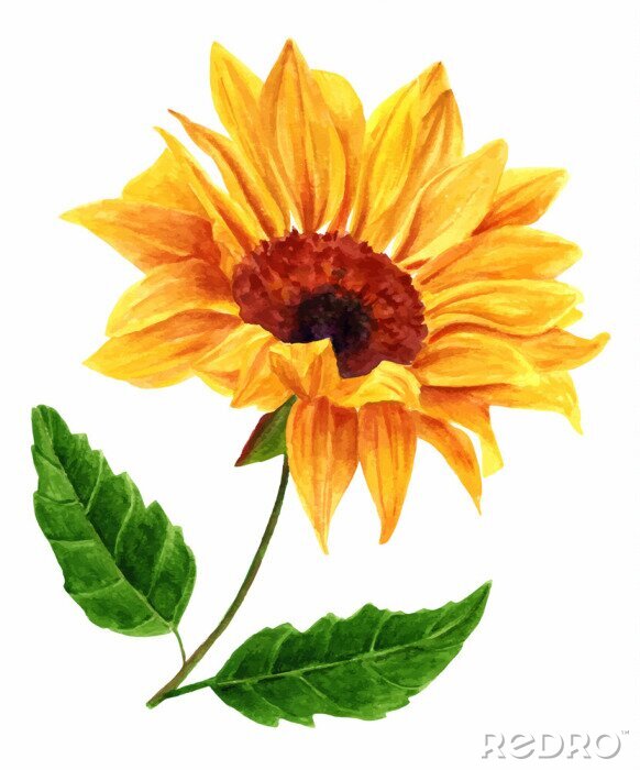 Poster Sonnenblume mit drei Blättern