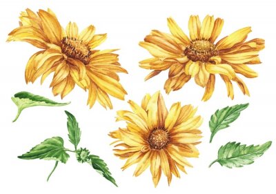 Poster Sonnenblumen Blumen ohne Stängel